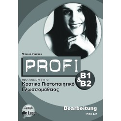 Profi B1&B2 Bearbeitung